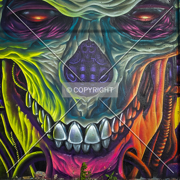 Saint Louis City Flood Wall (South Wall) by Ryan Hildebrand