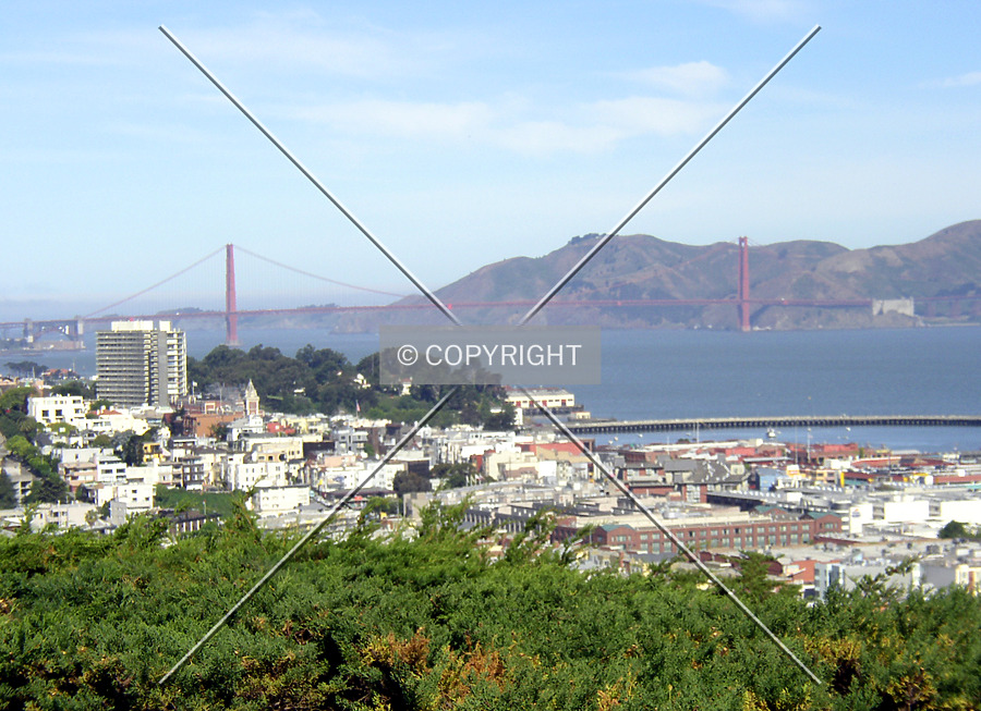 Golden Gate Bridge by Chris Patriarca