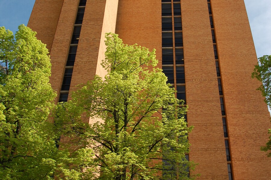 Darley Towers North