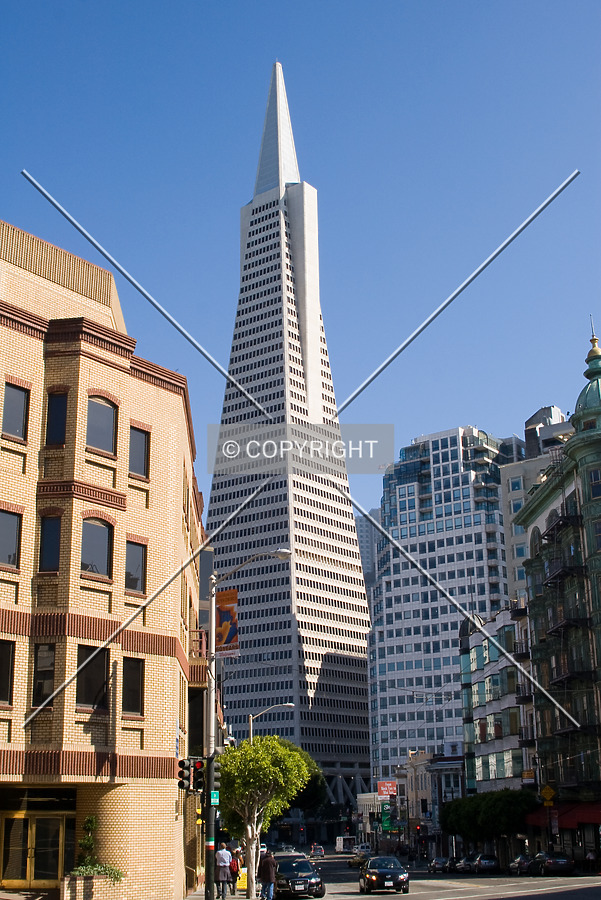 Transamerica Pyramid by Martin Bugajski