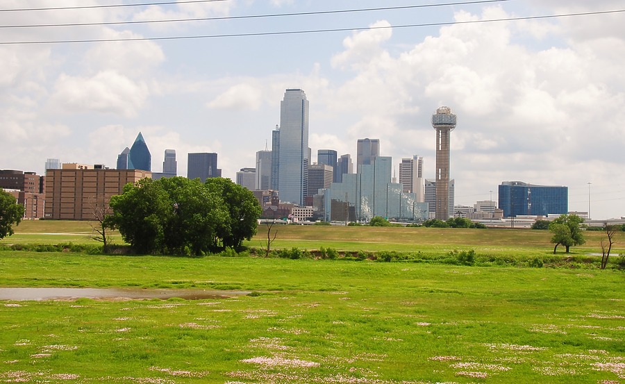 Reunion Tower by Brian LoBue