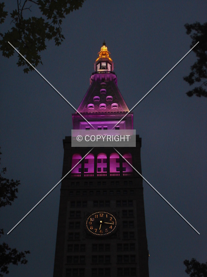 Metropolitan Life Tower by Royce Douglas