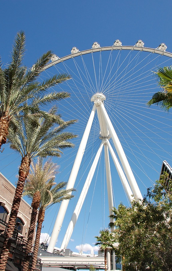 High Roller by Brian LoBue