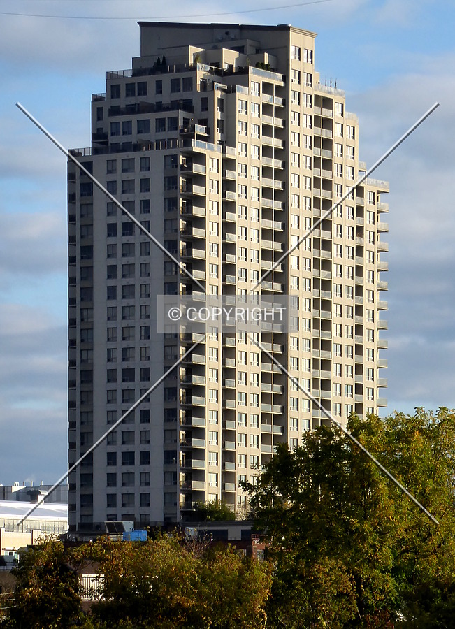 The Renaissance One by Chris Patriarca