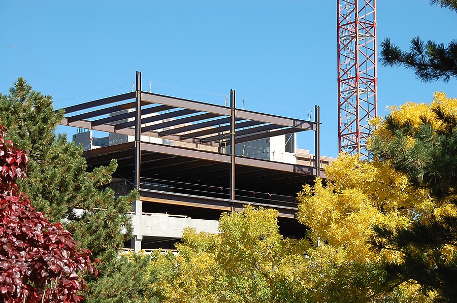 50 Fifty DTC by Brian LoBue