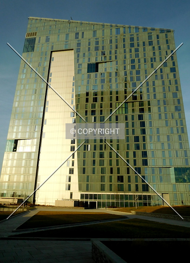 The Evo by Chris Patriarca