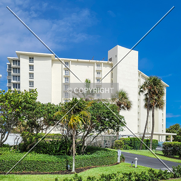 Banyan House by Ryan Hildebrand