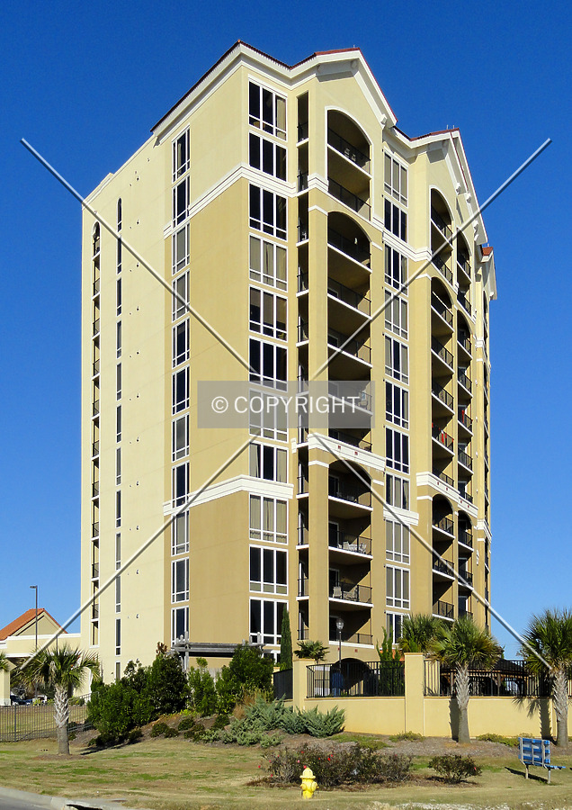 Sienna on the Coast by Chris Patriarca