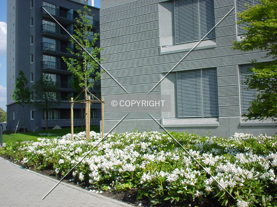 Scala west by Nephilim