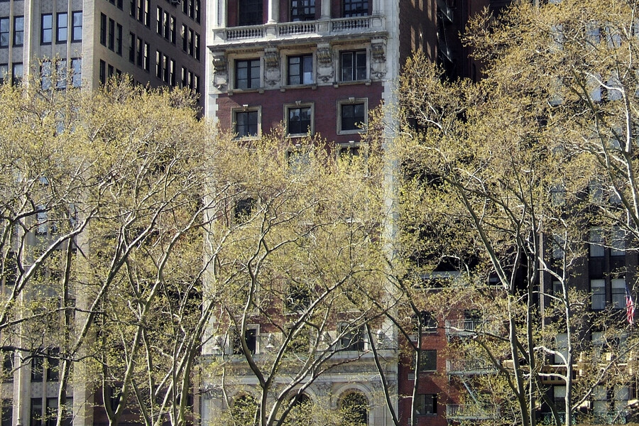 The Columns