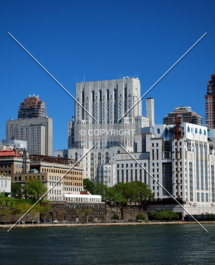 New York Hospital by Royce Douglas