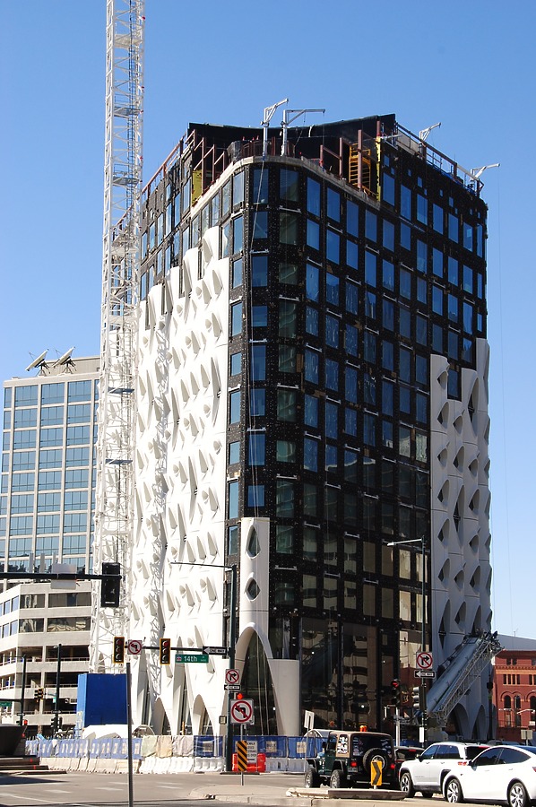 Populus by Brian LoBue