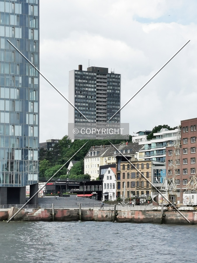 Palmaille 35 by Nephilim