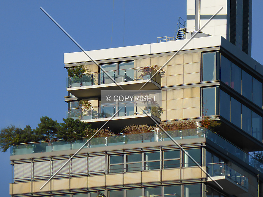 Skylight by Nephilim