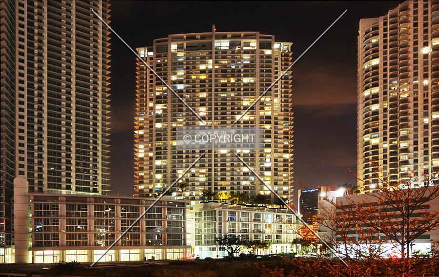 The Ivy by Jorge Molina