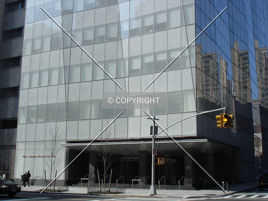 Weill Greenberg Center, Weill Cornell Medical College by Royce Douglas