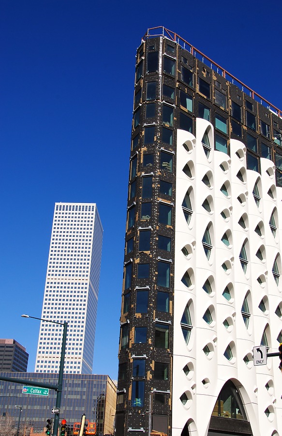 Populus by Brian LoBue