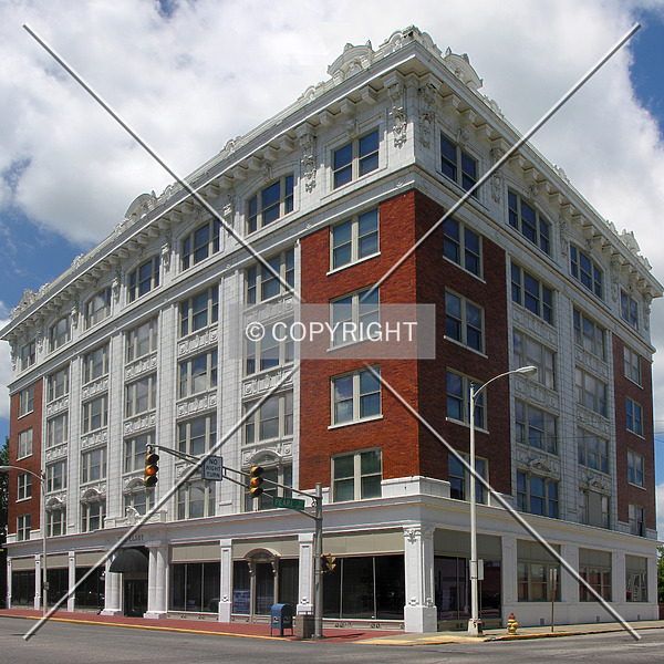 The Elsby by Lizzie Morrison