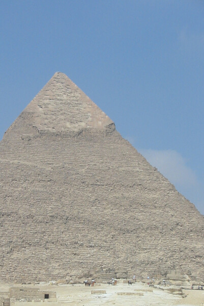 View showing the remaining outer skin