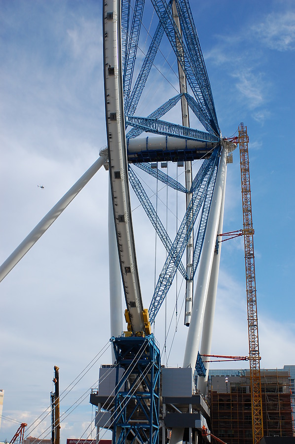 High Roller by Brian LoBue