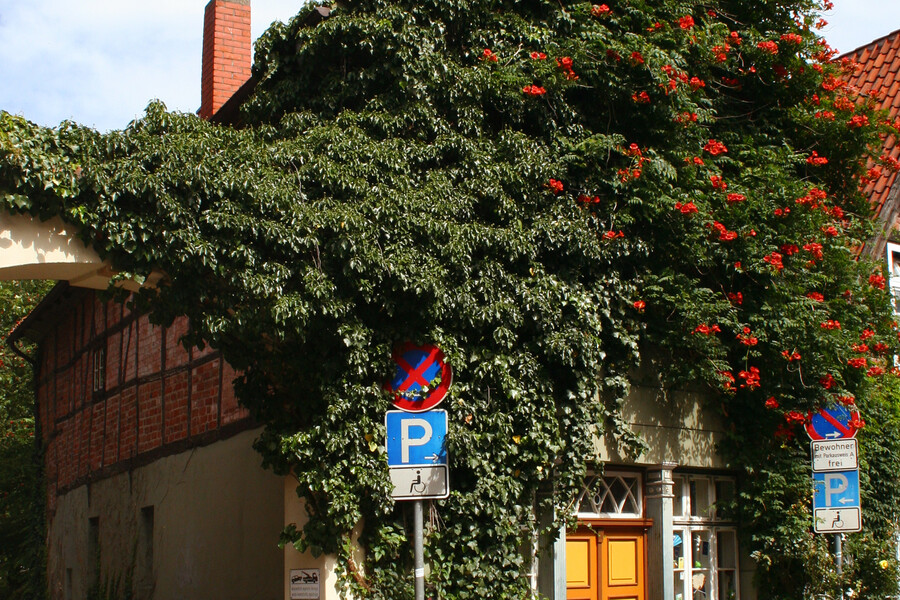 Auf dem Meere 8