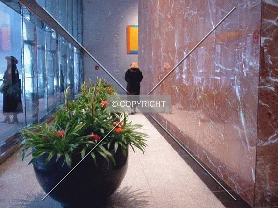 Tower 49 by Nephilim