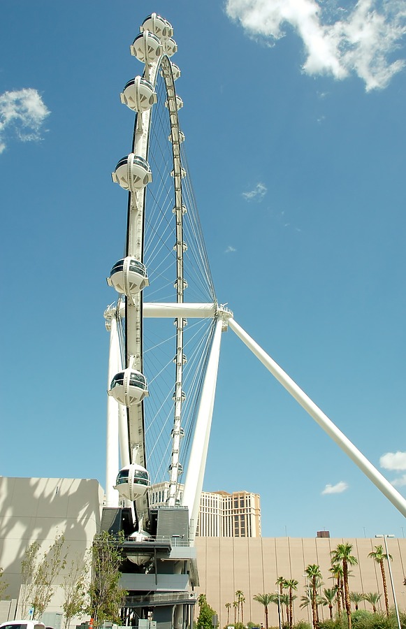 High Roller by Brian LoBue