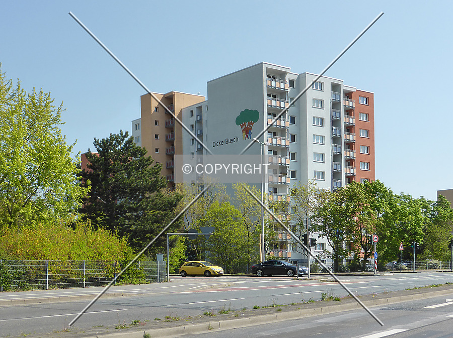 Dicker Busch by Nephilim