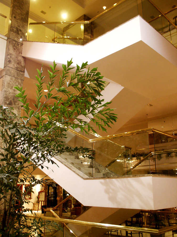 Centrum LIM by Marshall Gerometta
