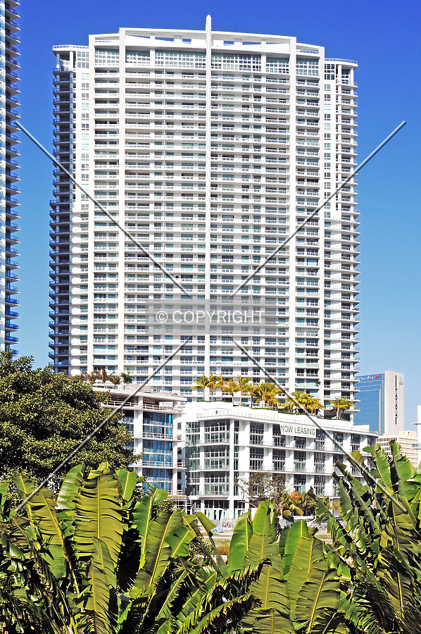 The Ivy by Jorge Molina