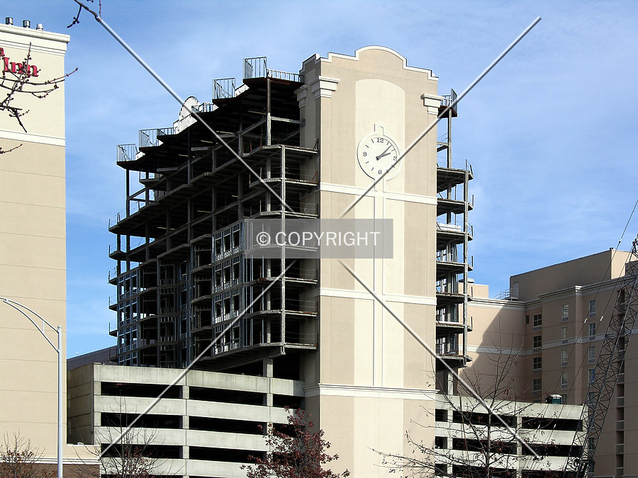 The Madison Charlotte by Chris Patriarca