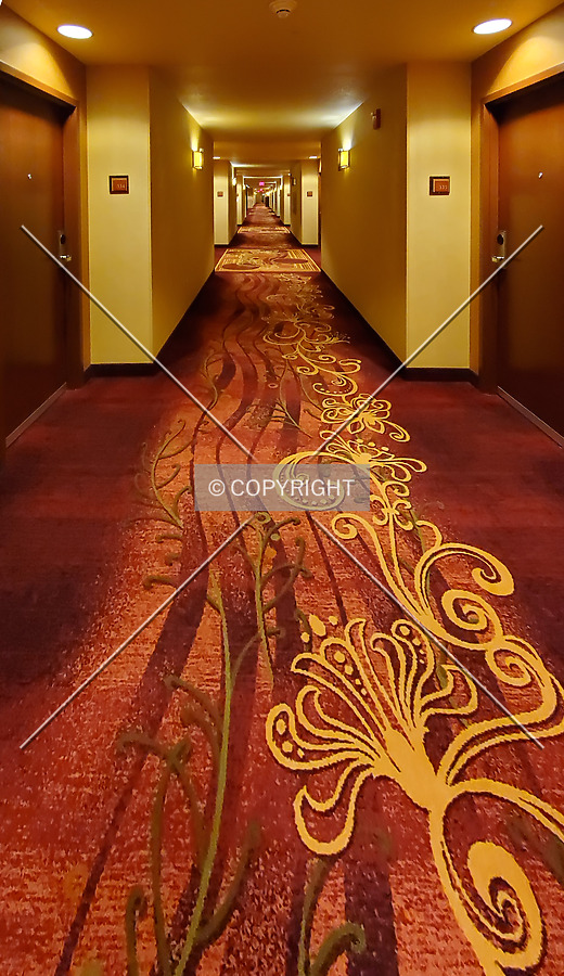 Bloomington-Normal Marriott Hotel & Conference Center by Ryan Hildebrand