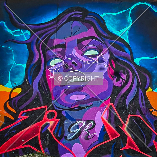 Saint Louis City Flood Wall (South Wall) by Ryan Hildebrand