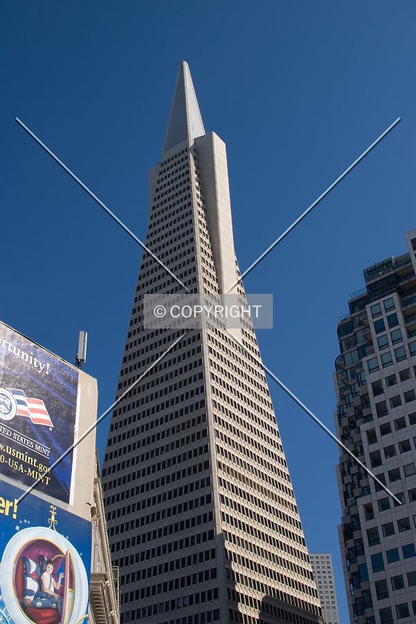 Transamerica Pyramid by Martin Bugajski