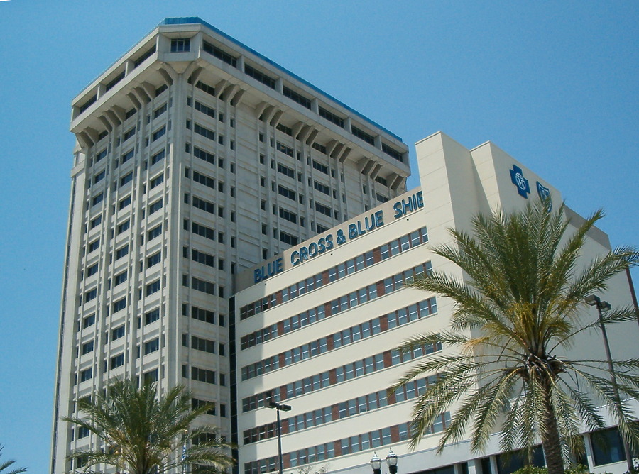 Blue Cross-Blue Shield Building by Rodney Gunn