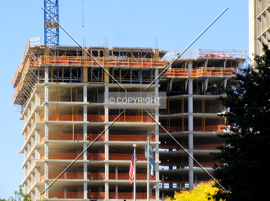 3737 Chestnut by Chris Patriarca