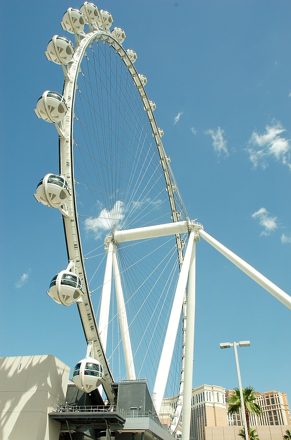 High Roller by Brian LoBue