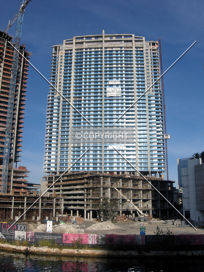 The Ivy by Jorge Molina