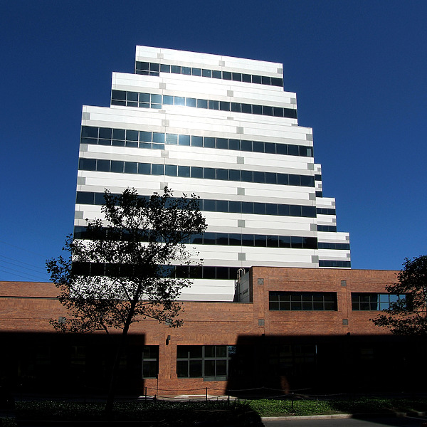 410 George Street by John Cahill