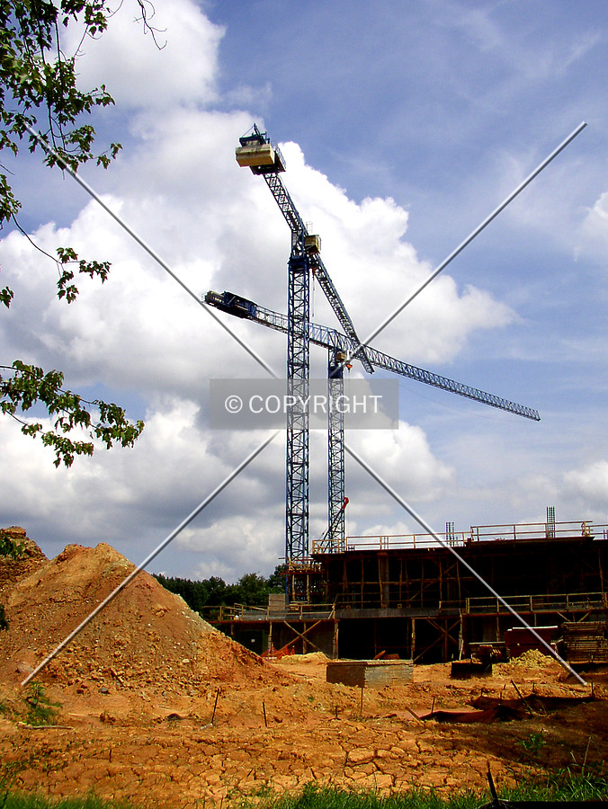 Rosewood Building I by Chris Patriarca