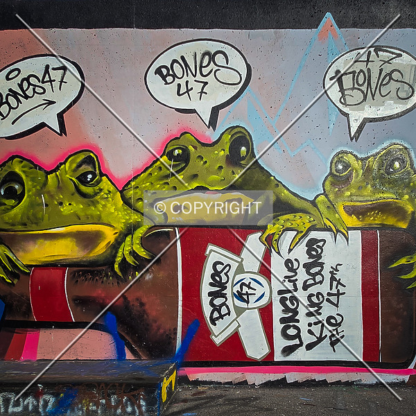 Saint Louis City Flood Wall (South Wall) by Ryan Hildebrand