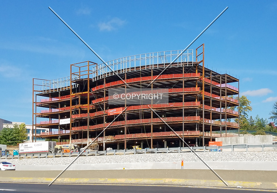 Delmar Gardens III by Ryan Hildebrand