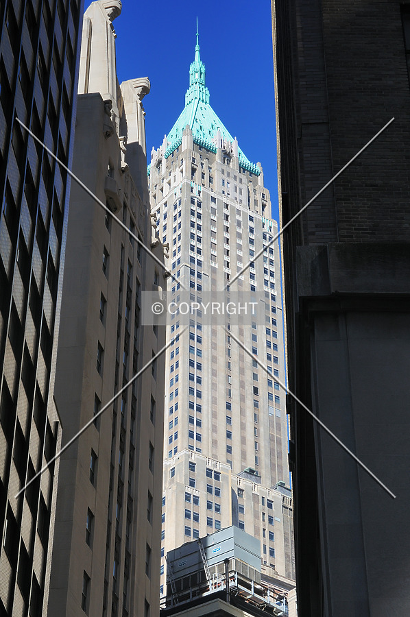 The Trump Building by David Guija