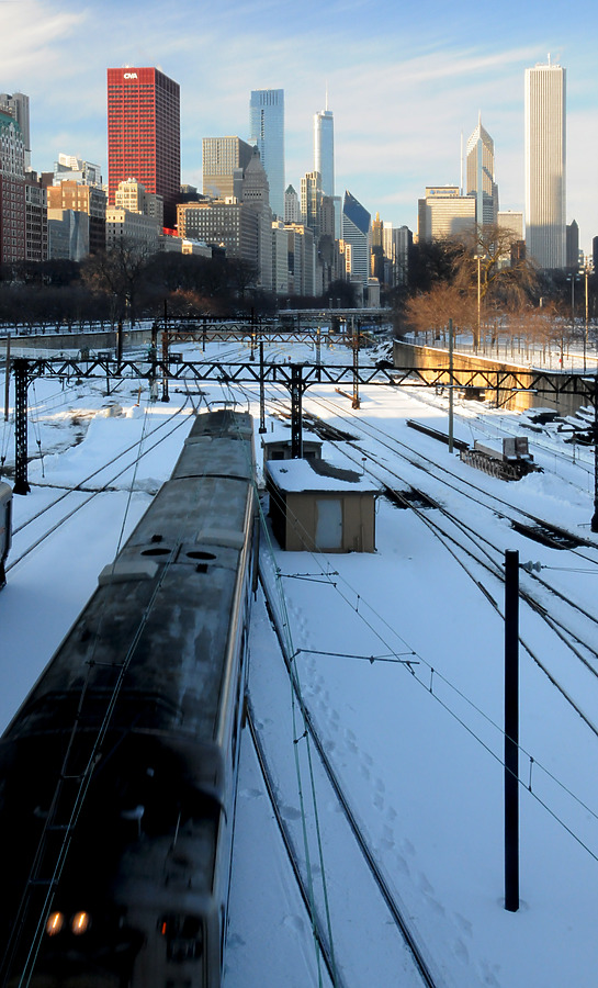 The Legacy at Millennium Park by Shawn Ursini