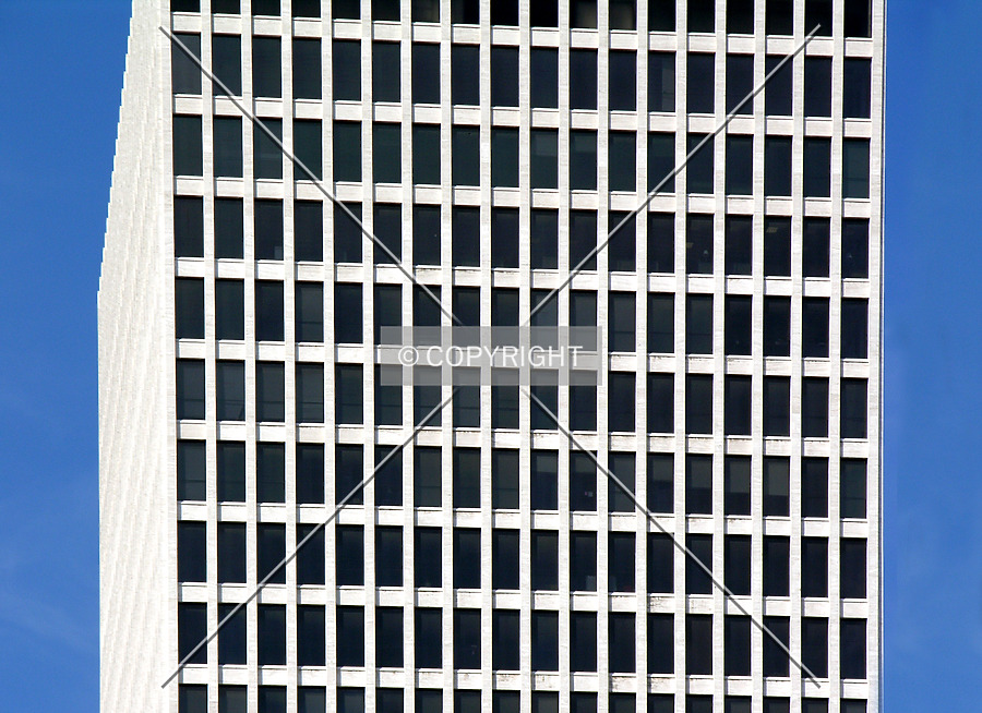 William R. Snodgrass Tennessee Tower by Chris Patriarca