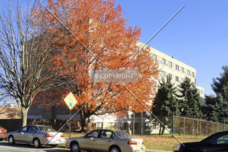 Palmer House Apartments