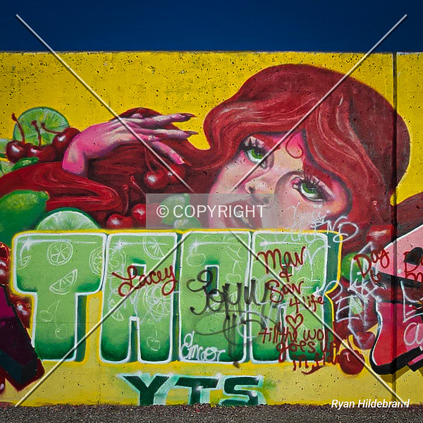 Saint Louis City Flood Wall (South Wall) by Ryan Hildebrand