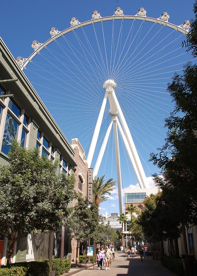 High Roller by Brian LoBue