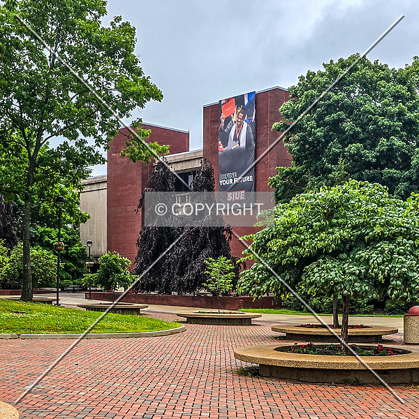 Elijah P. Lovejoy Library by Ryan Hildebrand