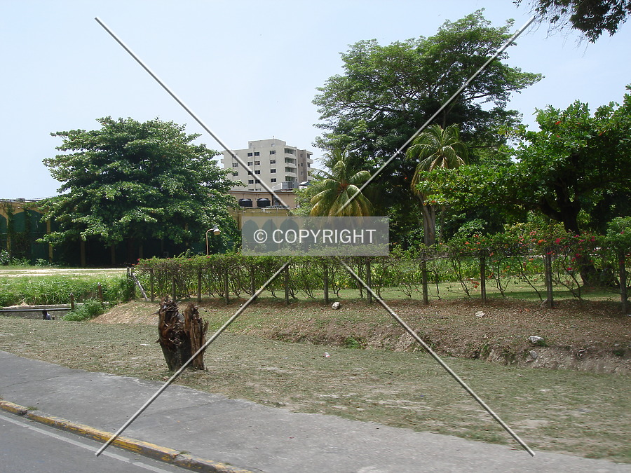 Turtle Beach Towers II by Nephilim